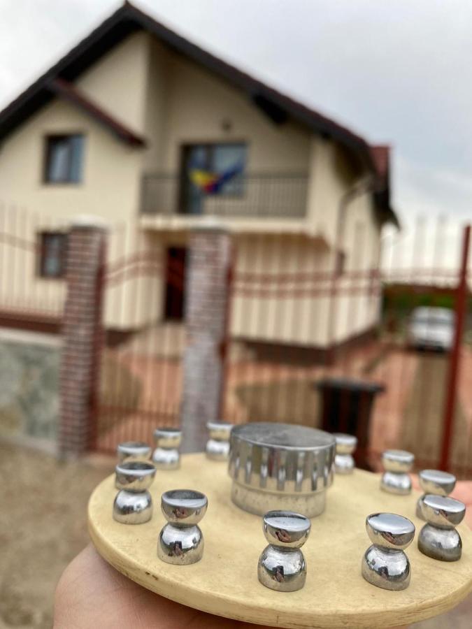 Casa Brâncușiana Apartamento Târgu Jiu Exterior foto