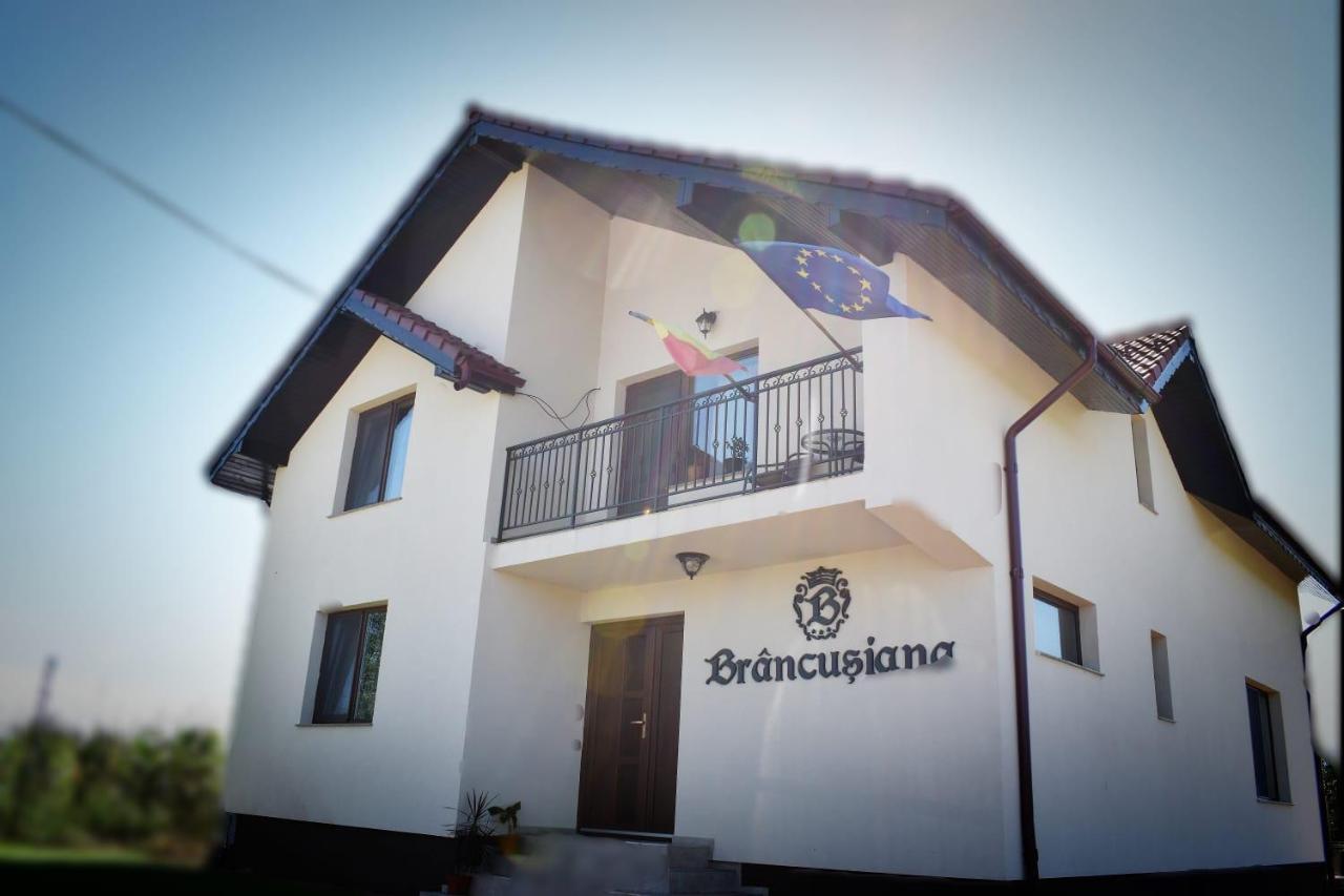 Casa Brâncușiana Apartamento Târgu Jiu Exterior foto