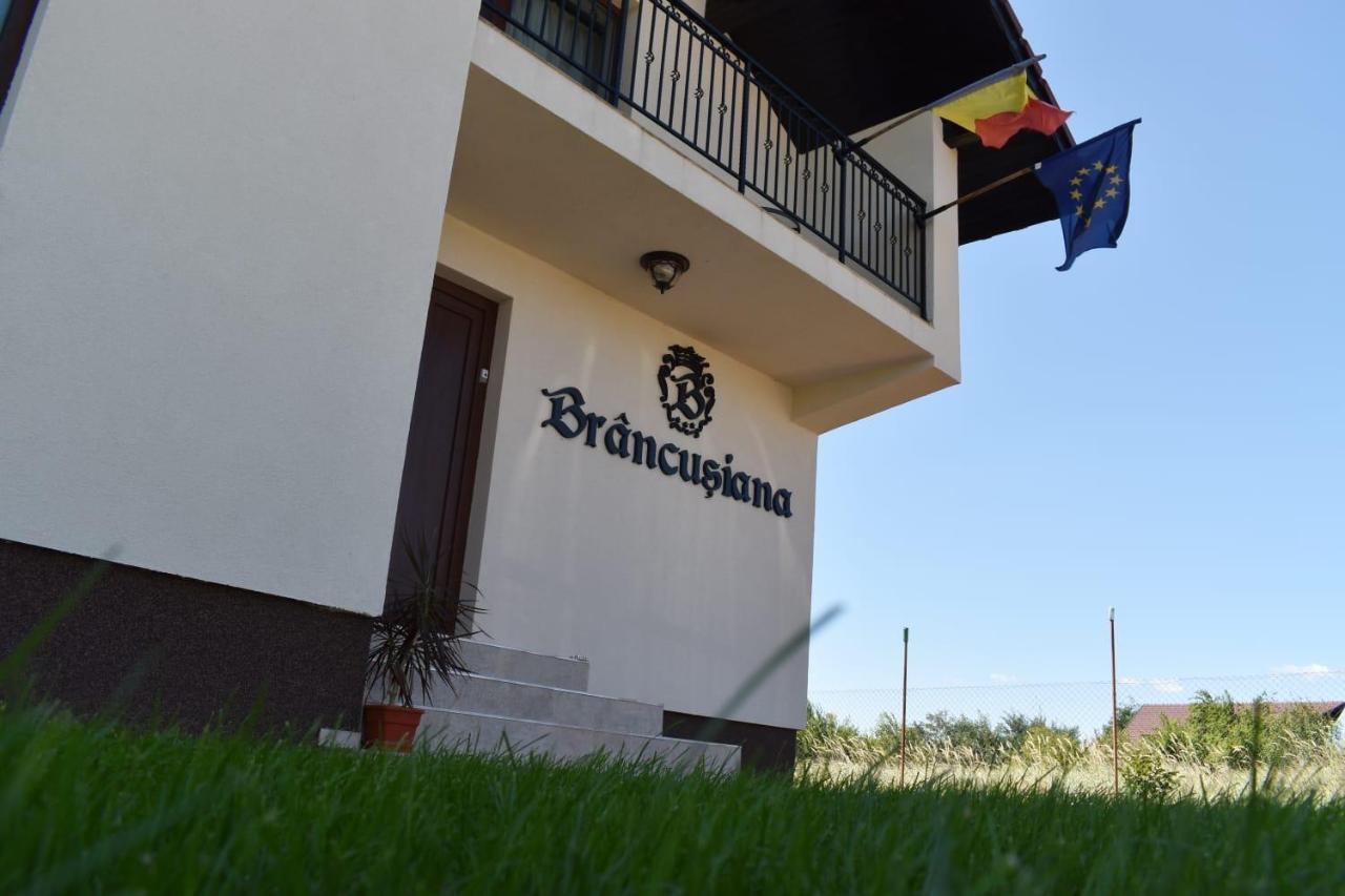 Casa Brâncușiana Apartamento Târgu Jiu Exterior foto